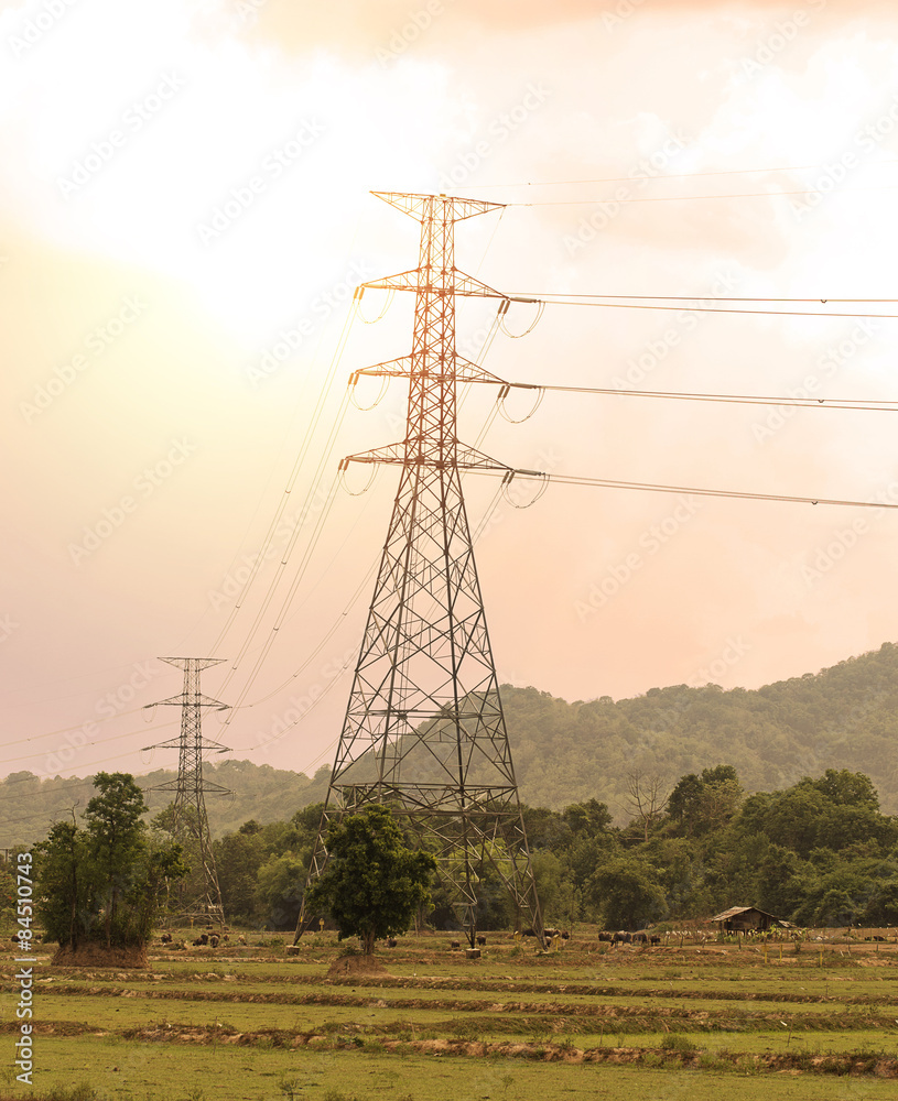 Fototapeta premium Electricty Post on light sunset.