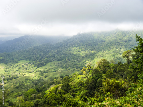 Windblown treetops in the rainforest of the Rio Celeste Valley