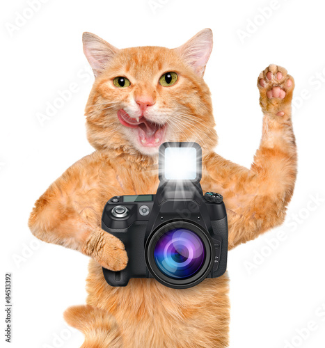 Fototapeta Naklejka Na Ścianę i Meble -  Photographer cat.