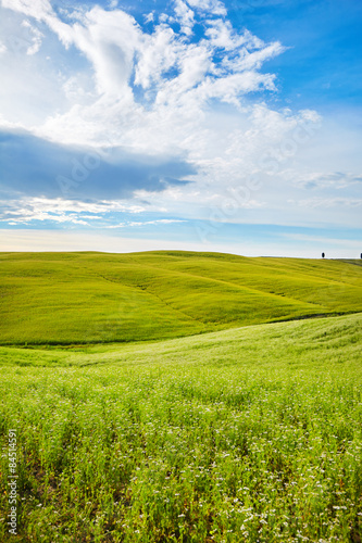 hills in sunny day Tuscany  Italy