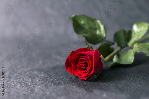 Fototapeta Naklejka Na Ścianę i Meble -  rose flower placed on black stone