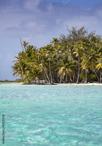 Fototapeta Naklejka Na Ścianę i Meble -  The tropical island with palm trees in the sea..