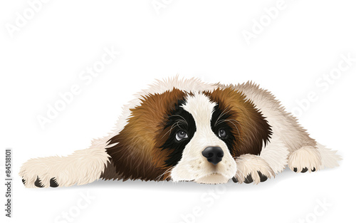 Cute puppy lying sad. The breed St. Bernard or Moscow watchdog. Isolated vector illustration. photo