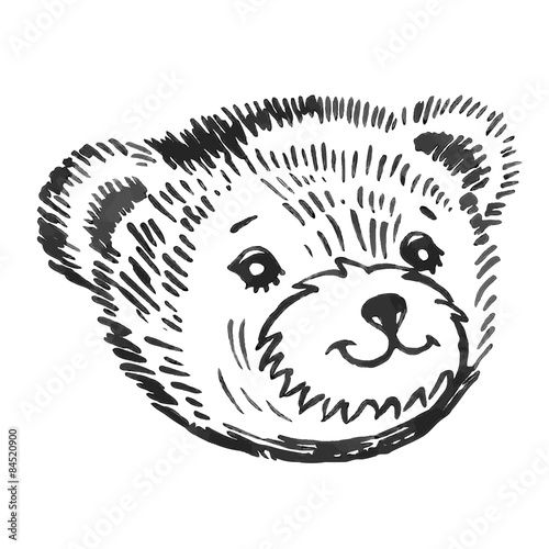 Bear's smiling snout pattern