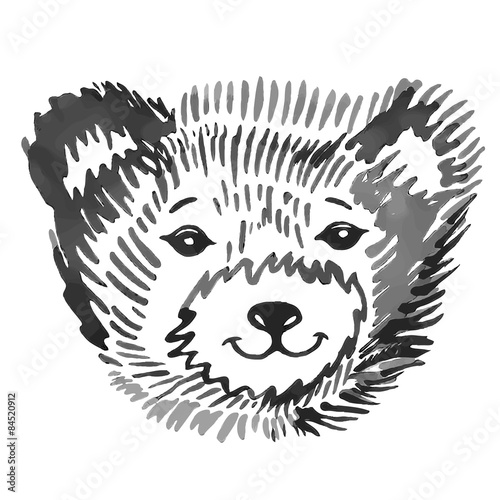 Bear's smiling snout pattern