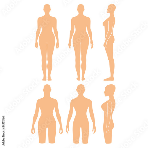 Woman mannequin outlined silhouette torso