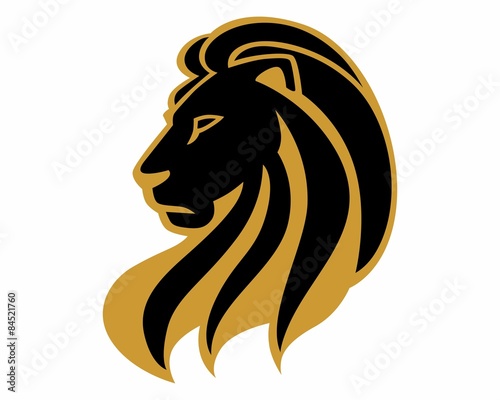 Fototapeta Naklejka Na Ścianę i Meble -  black lion head