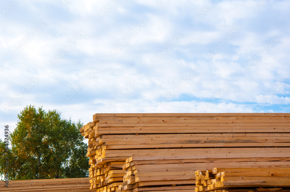 Timber or lumber Timber or lumber