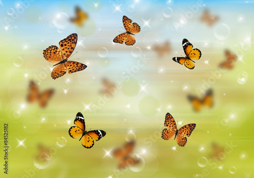 Butterflies 3D