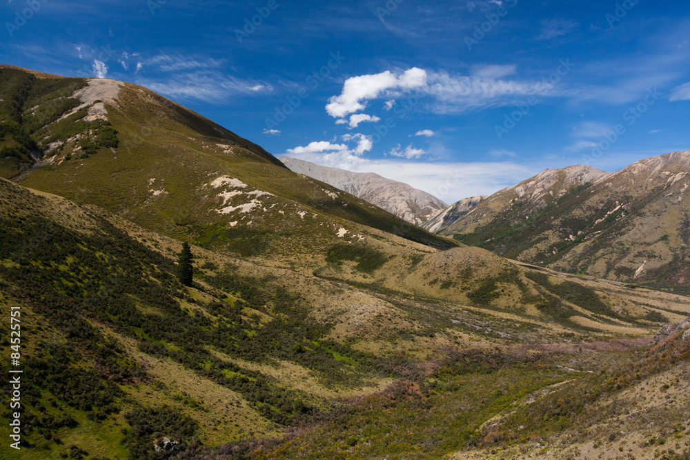 Fototapeta premium Mountain Valley (Summer) - Korowai/Torlesse Tussocklands Park