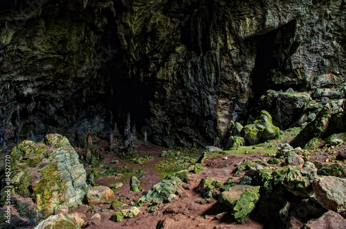 cave with moss and lichen covered rocks
