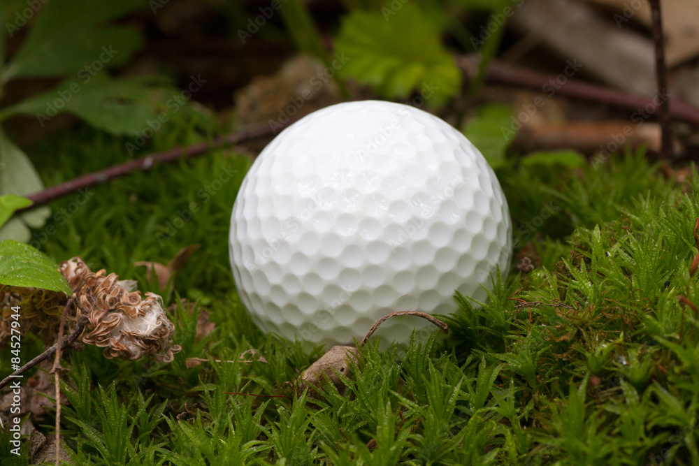 Lost golf ball is lying in moss. Lost golf ball is lying in moss.