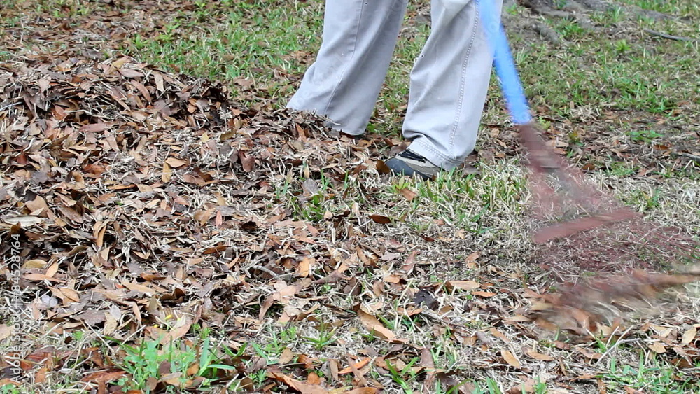 Person Raking Leaves