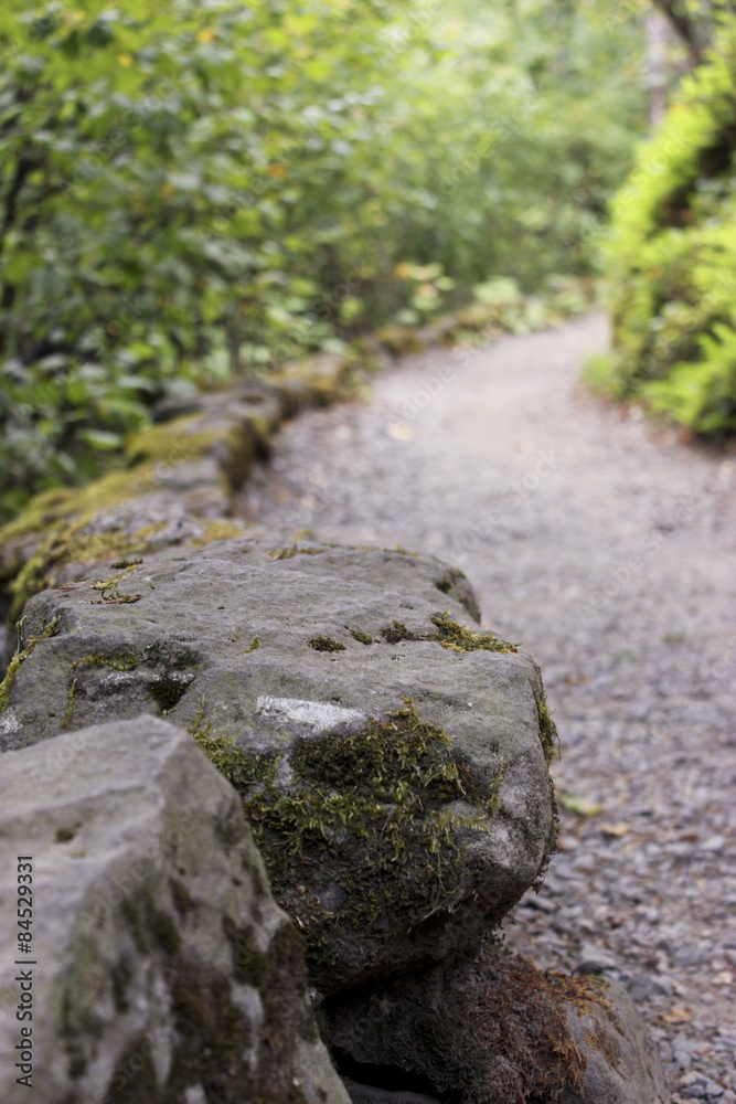 Rocky Path Rocky Path