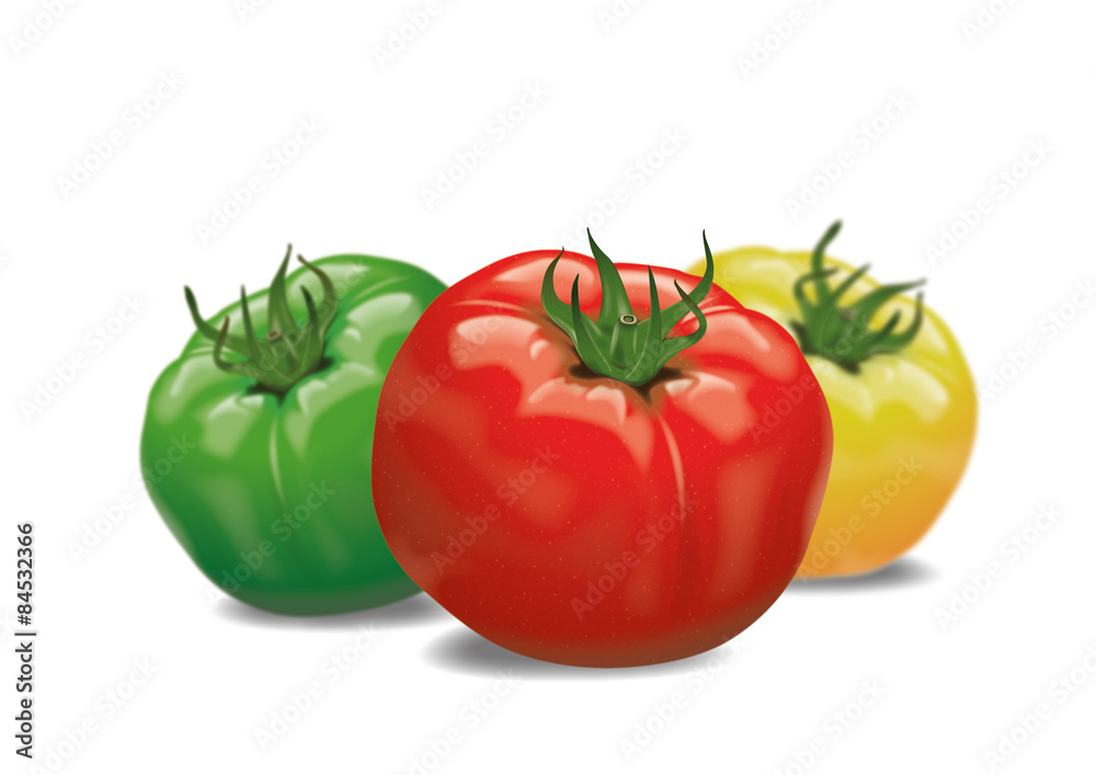 three fresh tomatoes in different colours three fresh tomatoes in different colours
