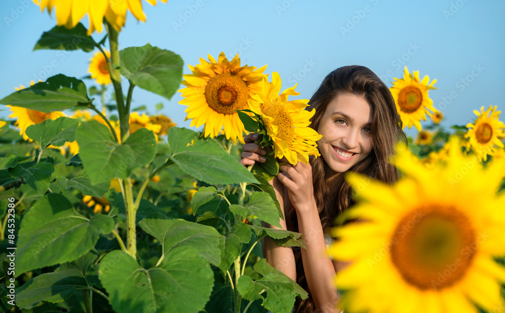 beautiful young woman with sunflower posing in the sunflowers beautiful young woman with sunflower posing in the sunflowers