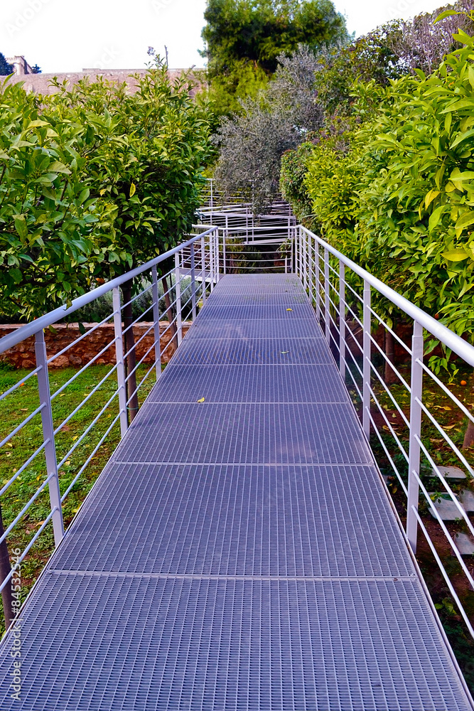 Obraz premium a lush green garden