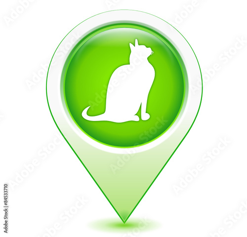 chat sur marqueur géolocalisation vert