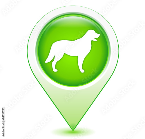 chien sur marqueur géolocalisation vert