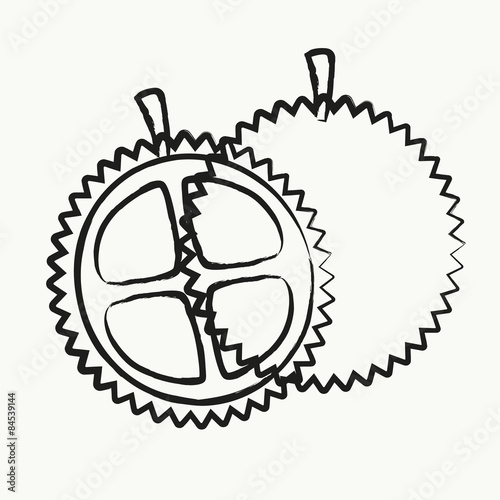Fruit vector
