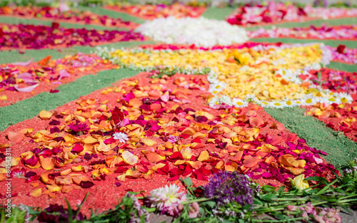 traditional flower carpet for the Feast of Corpus Christi photo