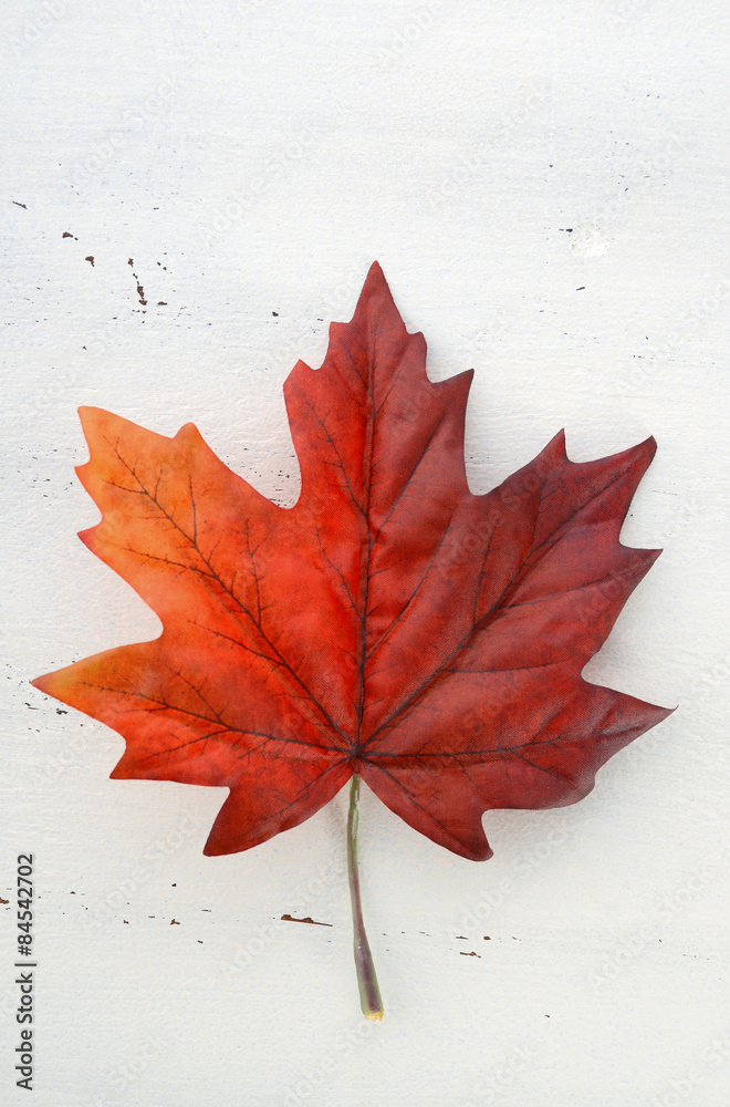 Happy Canada Day red silk maple leaf Happy Canada Day red silk maple leaf