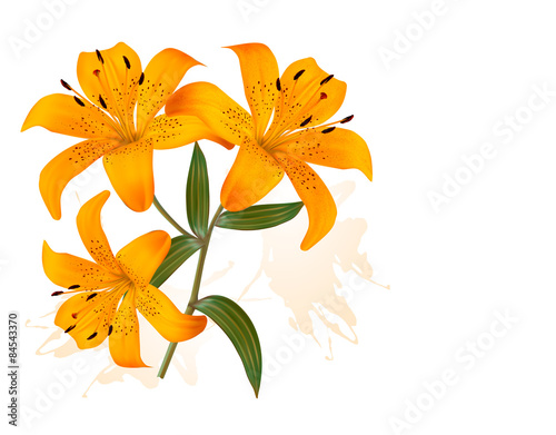 Fototapeta Naklejka Na Ścianę i Meble -  Flower Background With Three Beautiful Lilies. Vector.