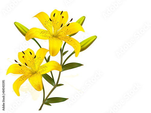 Flower Background With Yellow Beautiful Lilies. Vector.