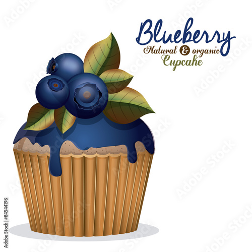 Blueberry design