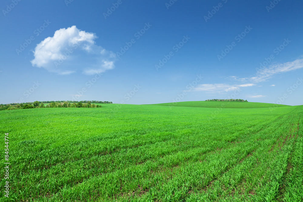 Green grass field and blue sky with clouds Green grass field and blue sky with clouds