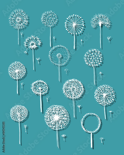 Dandelions collection, sketch fro your design