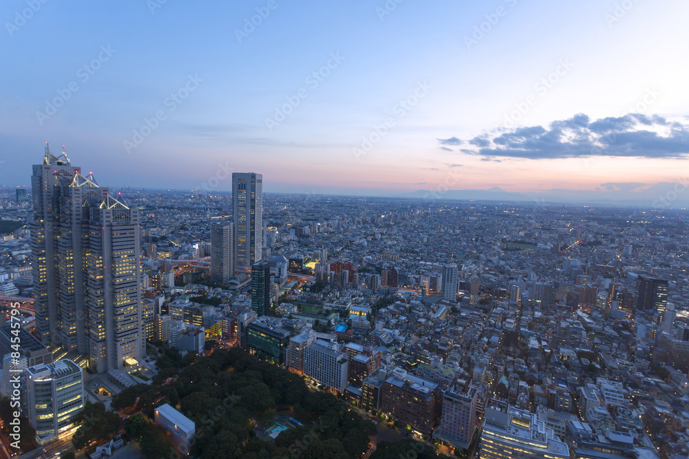 新宿高層ビルから広角で望む　富士山と東京街並全景　トワイライト
