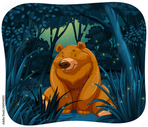 Bear and fireflies
