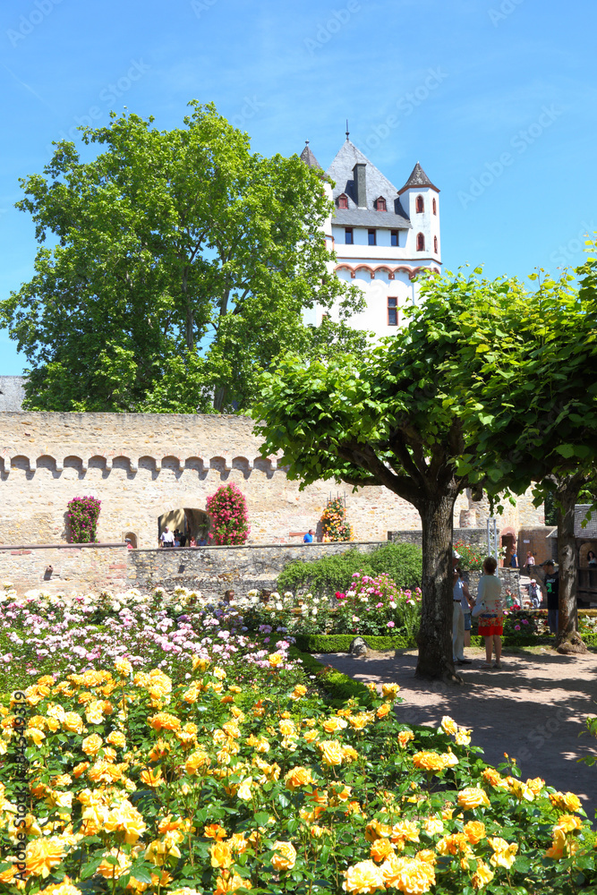 Eltville, die Kurfürstliche Burg (Juni 2015)