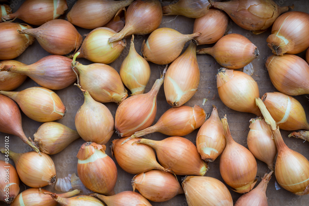 Fresh golden organic onions, clean eating concept Fresh golden organic onions, clean eating concept