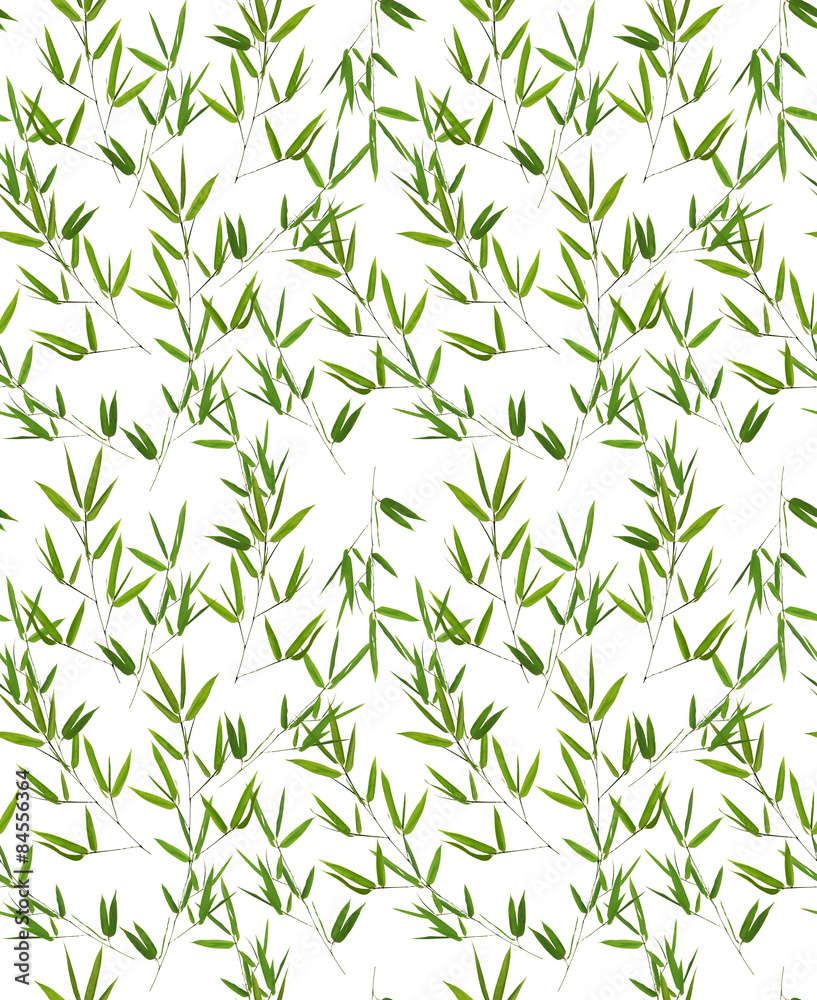 Fototapeta premium seamless background from green bamboo branches