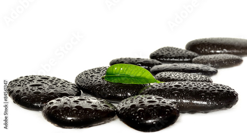 Photography Black spa stones and green leaf.