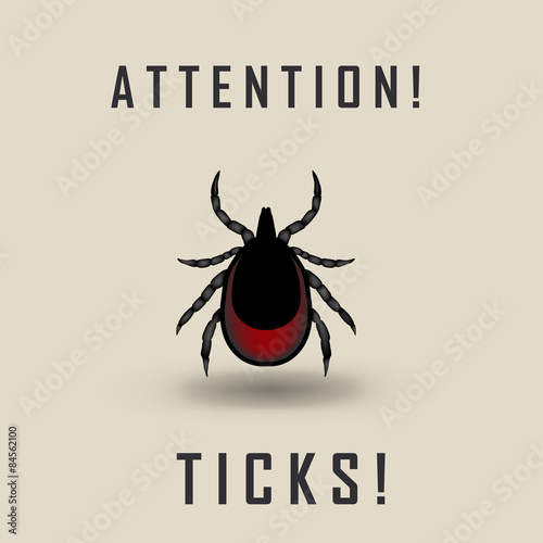 vector image of a tick