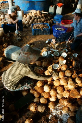 Asian worker, coconut, copra, material, Mekong Delta