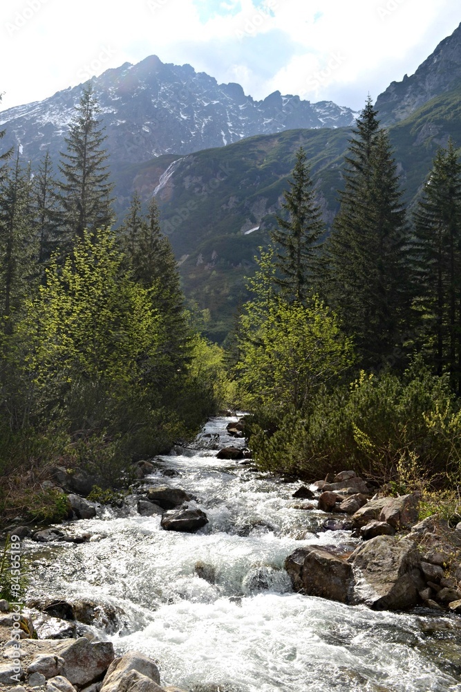 Obraz premium Górski potok