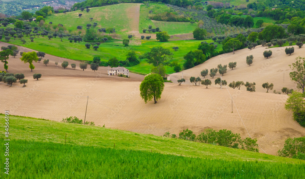 Fototapeta premium Antico casolare di campagna nella regione marche.