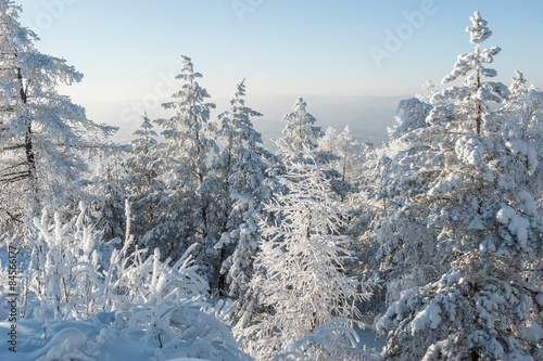 Trees under snow (Abzakovo, Urals, Russia) © ilyaska