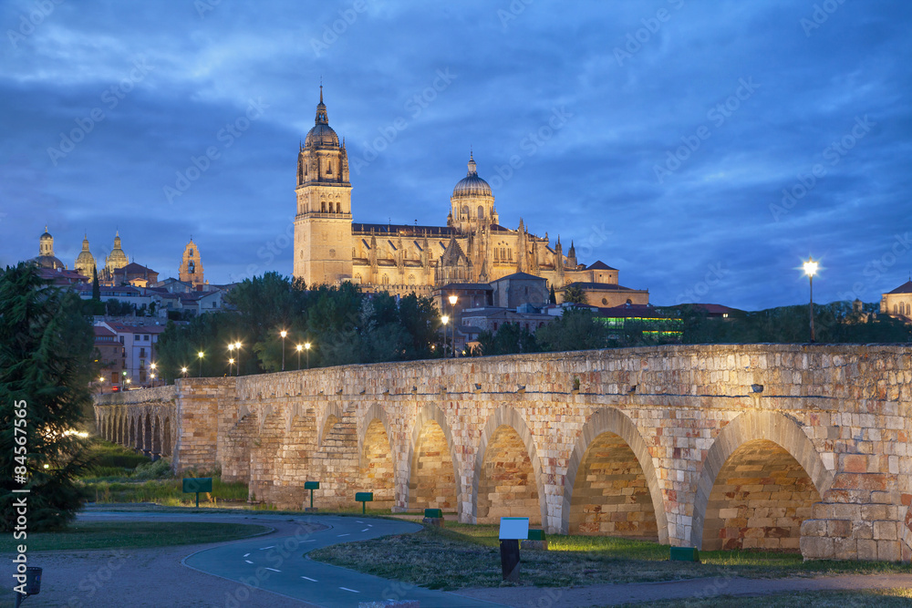 Romana Bridge with New Cathedral in Salamanca