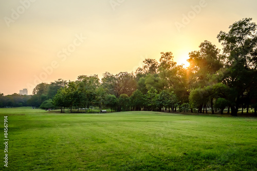 Green nature on public park © panya7