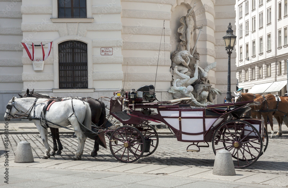 Horse-driven carriage in Vienna, Austria