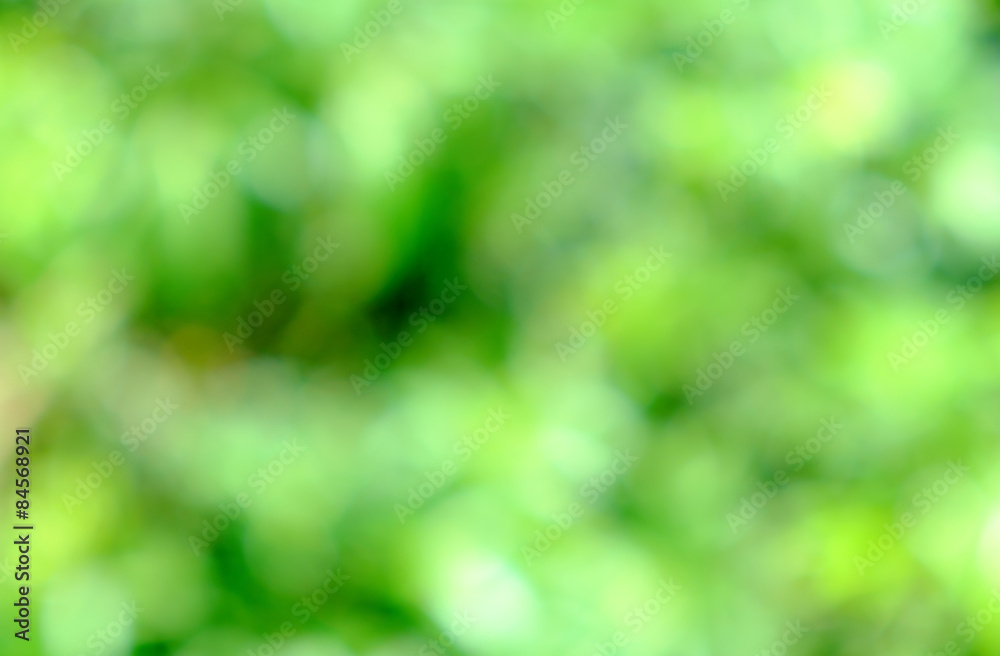Obraz premium Green bush blurred background