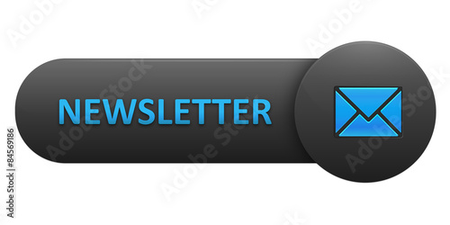 NEWSLETTER Vector Web Button