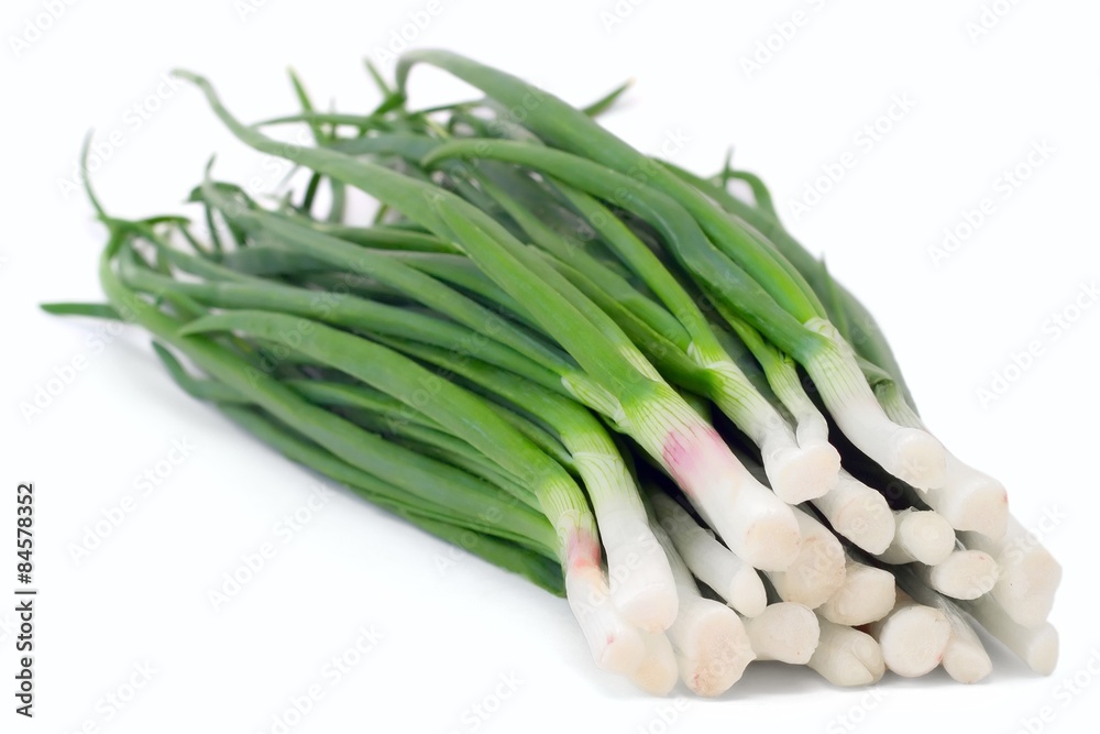 Bunch of chives on white background Bunch of chives on white background