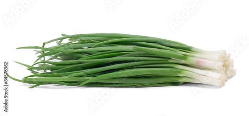 Bunch of chives on white background