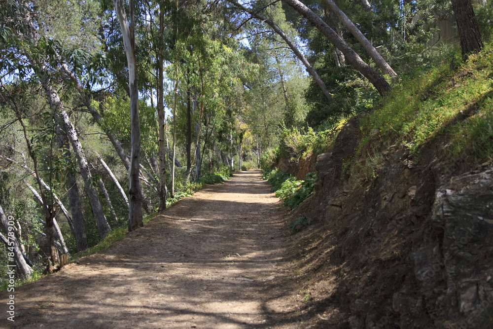 Hiking trail